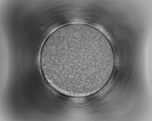 X0000093490856200711020950