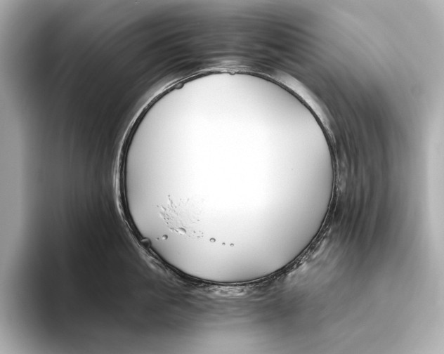 X0000093490861200711020950