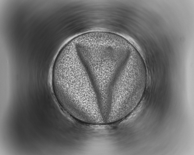 X0000093490862200711020950