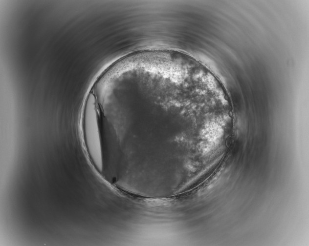 X0000093490863200711020950