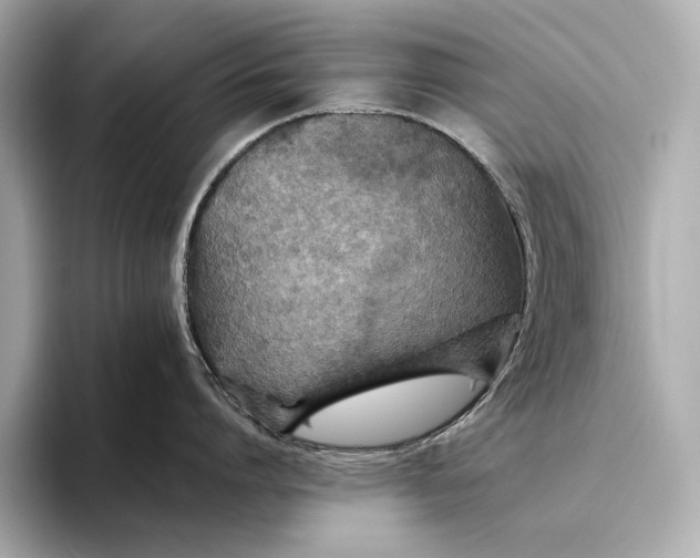 X0000093490864200711020950