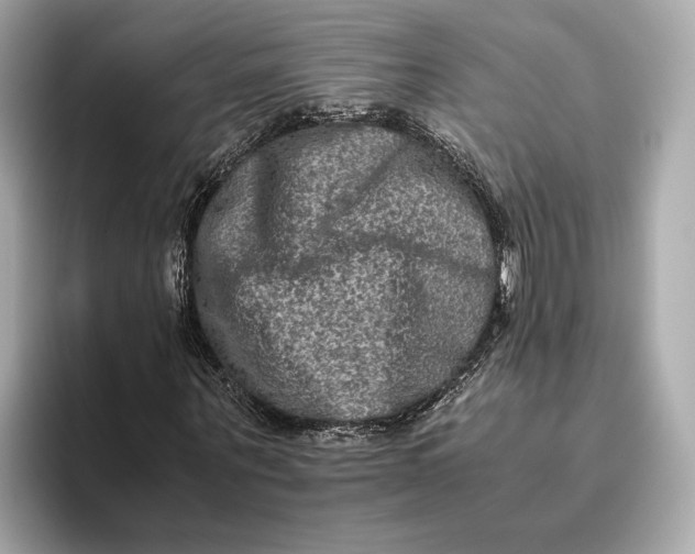 X0000093490867200711020950