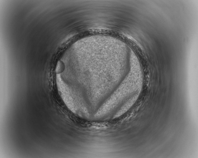 X0000093490870200711020950