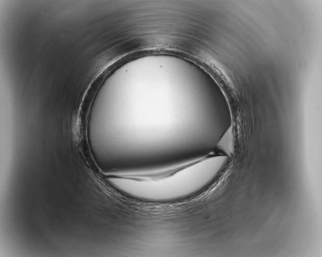 X0000093490876200711020950