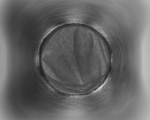 X0000093490877200711020950