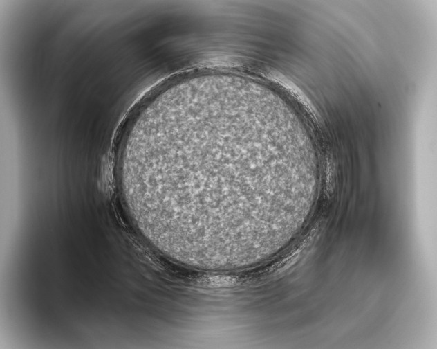 X0000093490878200711020950