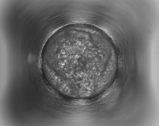 X0000093490879200711020949