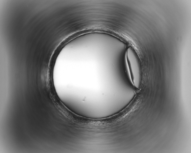 X0000093490880200711020949