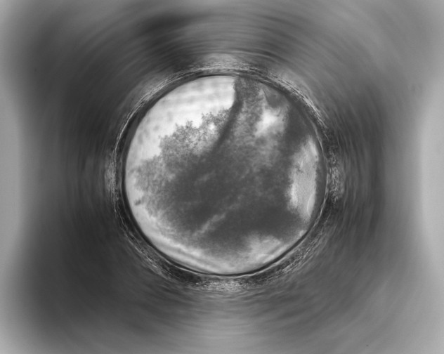 X0000093490882200711020949