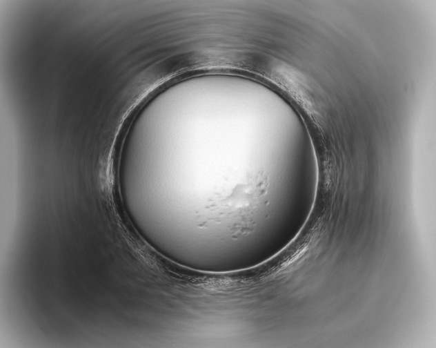 X0000093490885200711020949