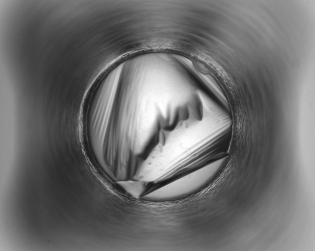 X0000093490894200711020949