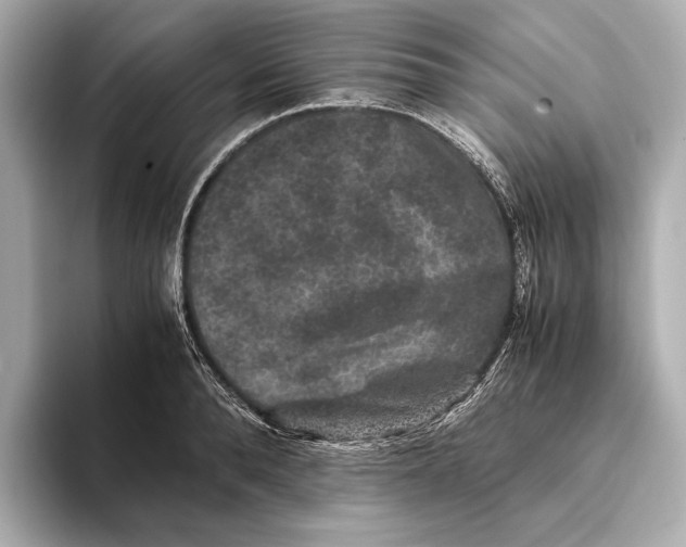 X0000093490896200711020949