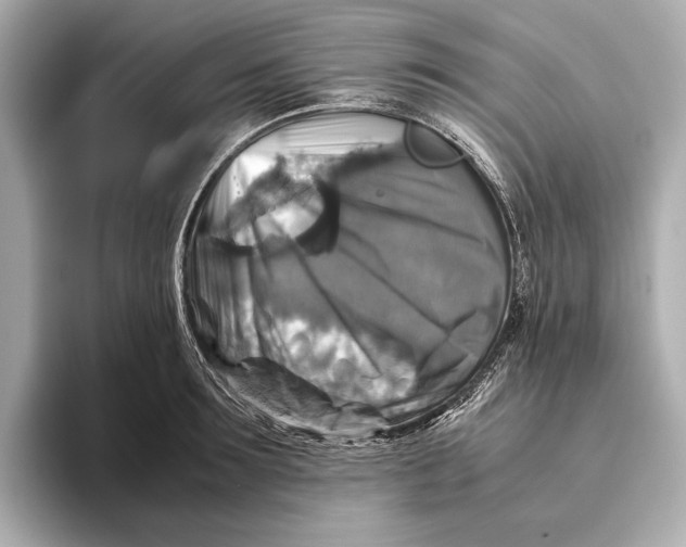 X0000093490899200711020949