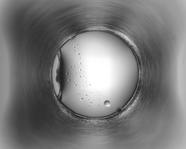 X0000093490905200711020949