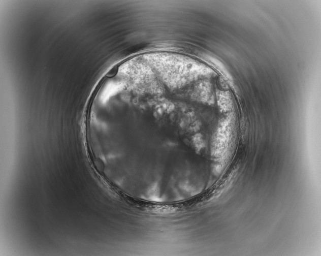 X0000093490907200711020949