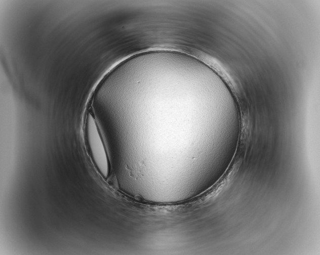 X0000093490908200711020949