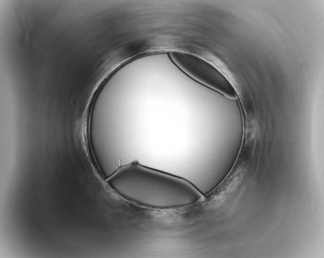 X0000093490909200711020949