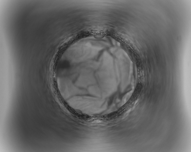 X0000093490913200711020948