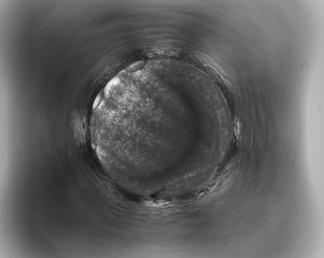 X0000093490915200711020948