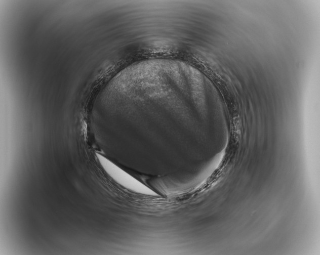 X0000093490916200711020948