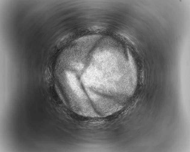 X0000093490917200711020948