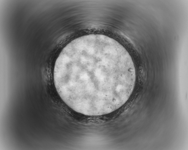 X0000093490918200711020948