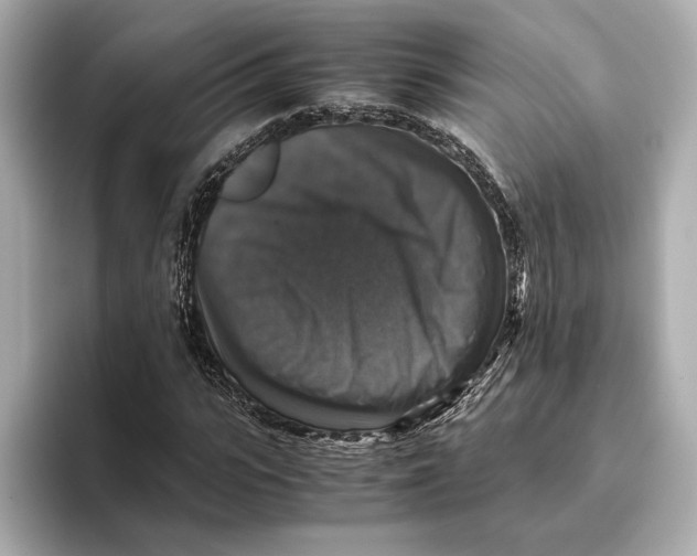 X0000093490919200711020948