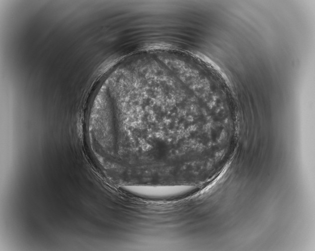 X0000093490921200711020948