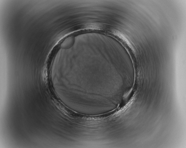 X0000093490923200711020948