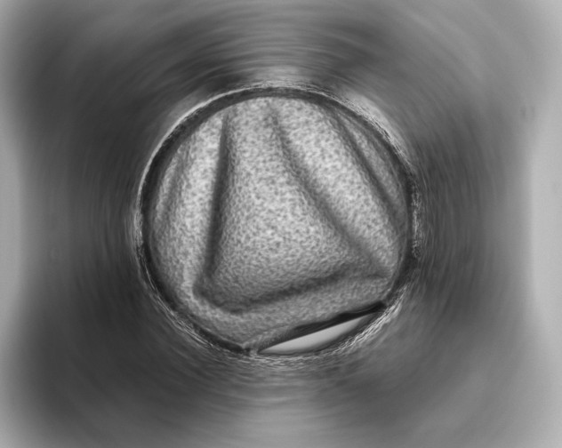 X0000093490924200711020948