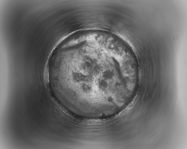 X0000093490925200711020949