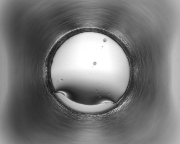 X0000093490926200711020949