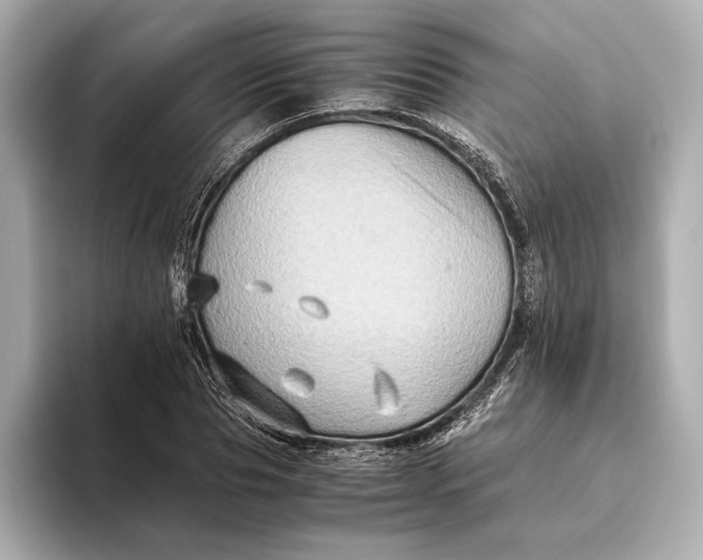 X0000093490929200711020949