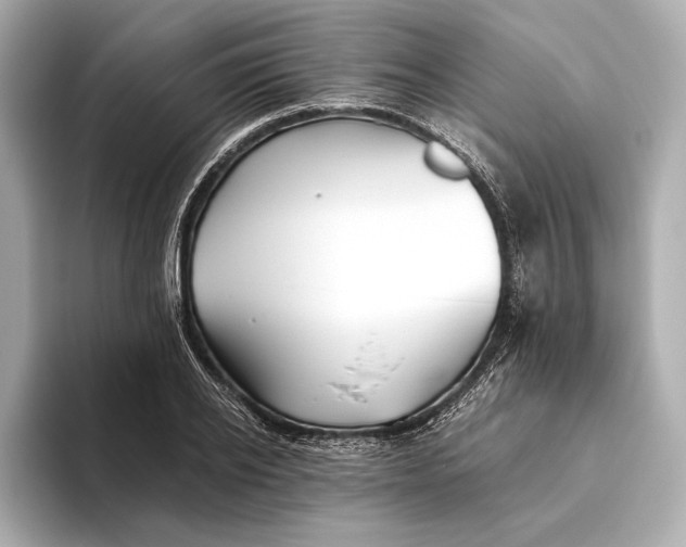 X0000093490934200711020949