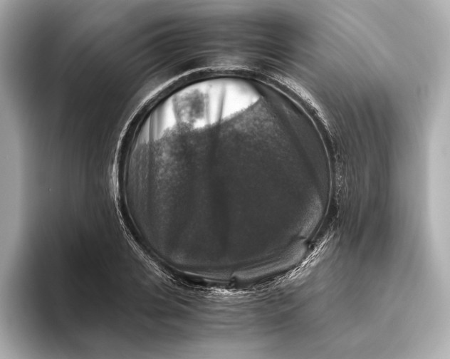 X0000093490935200711020949