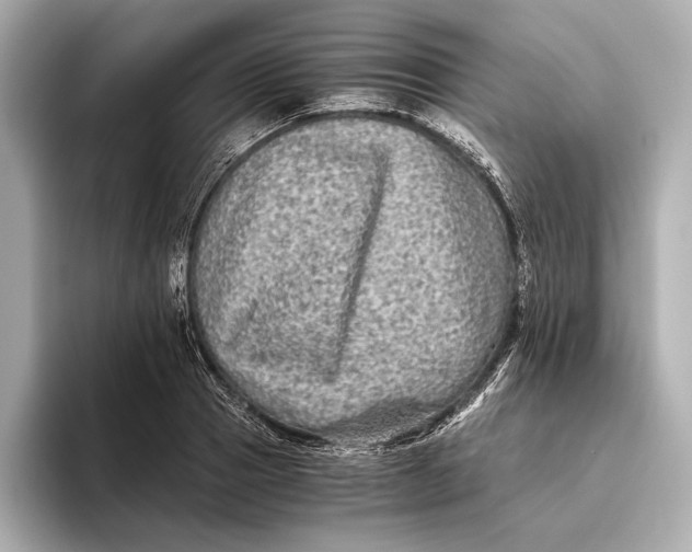 X0000093490937200711020949