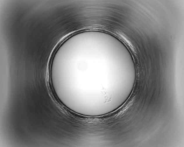 X0000093490940200711020949