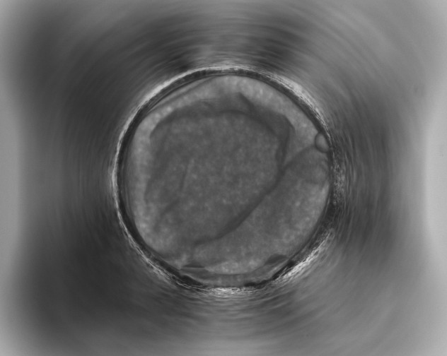 X0000093490943200711020949