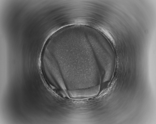 X0000093490944200711020949