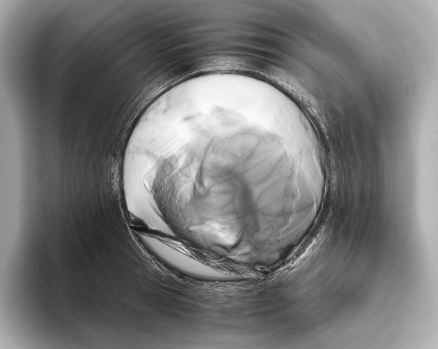 X0000093490945200711020949