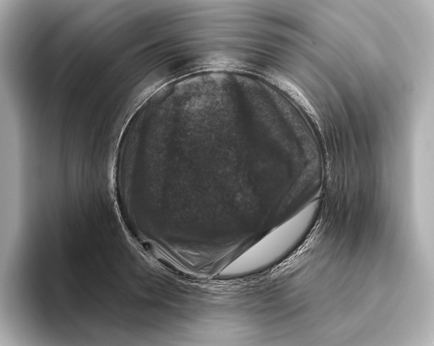 X0000093490946200711020949