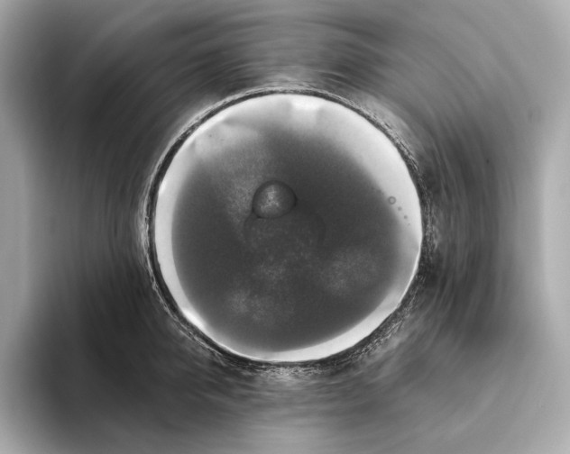 X0000093490950200711020949