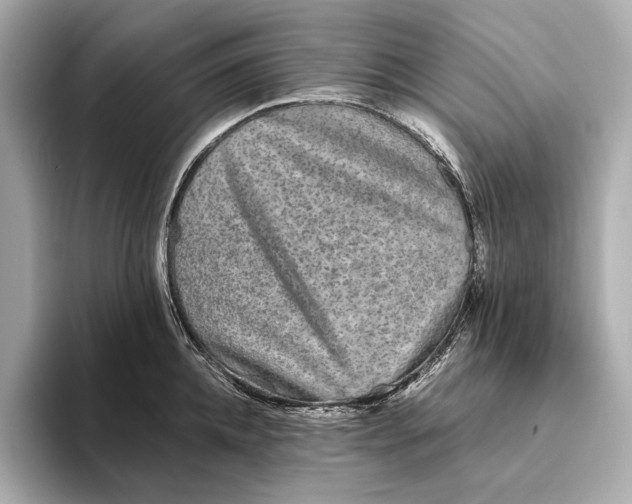 X0000093490952200711020949