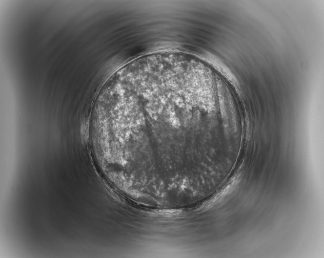 X0000093490953200711020949