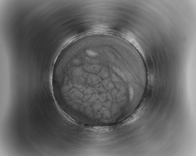 X0000093490954200711020949