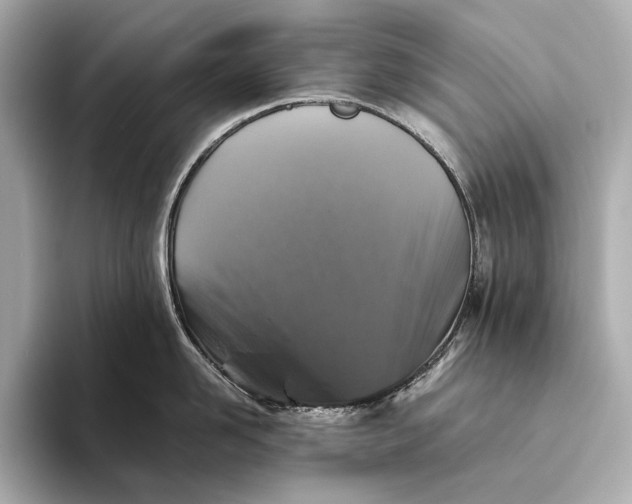 X0000093490958200711020949