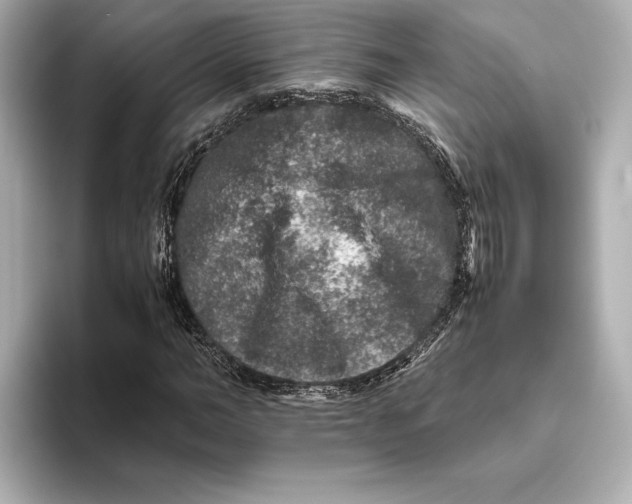 X0000093490966200711020948