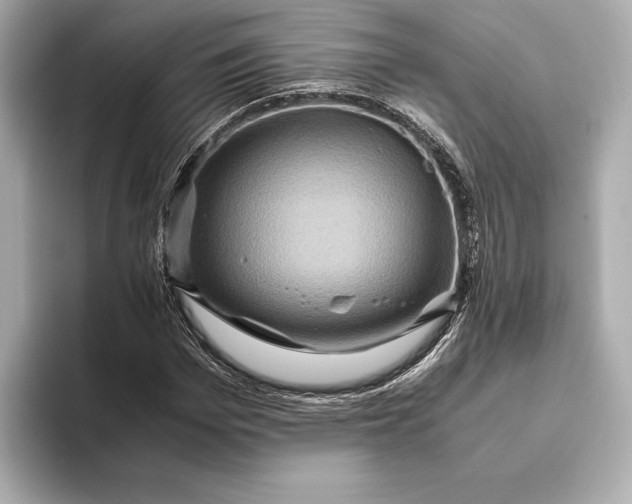 X0000093490969200711020948