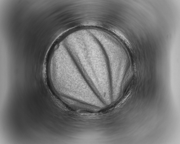 X0000093490976200711020948