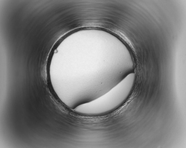 X0000093490980200711020948